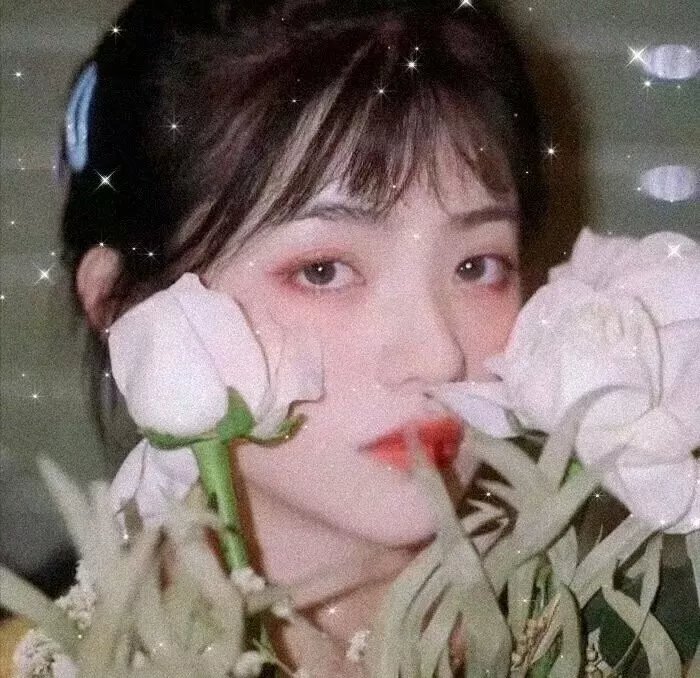 荣耀青春
